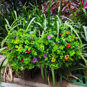 2 Pcs Artificial Boxwood Topiary Balls with Ground Spike, Green Decorative Bushes