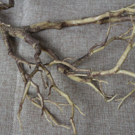 Artificial Branches Plastic 5-Fork Dry Twigs for Home Hotel Living Room Decor, Coral Landscape, 37 Inch Long