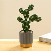 Artificial Potted Cactus Plants Bulk Set 6 Pcs, 6 Inch, Green, Plastic Faux Bonsai