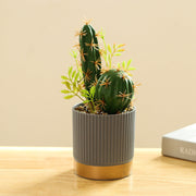 Artificial Potted Cactus Plants Bulk Set 6 Pcs, 6 Inch, Green, Plastic Faux Bonsai