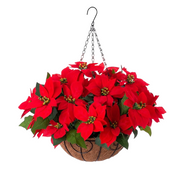 Artificial Poinsettia Flowers 12 Inch 10 Pcs Red Silk Hanging Basket for Indoor Outdoor Decor