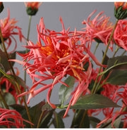 27 Inch Artificial Chrysanthemum Stems Coral Triple Bloom Foliage Spray 10 Pcs Silk Flowers for Autumn Centerpiece