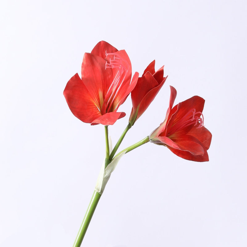 22 Inch Clivia Miniata Natal Lily Silk Flower Stem Bulk Wholesale