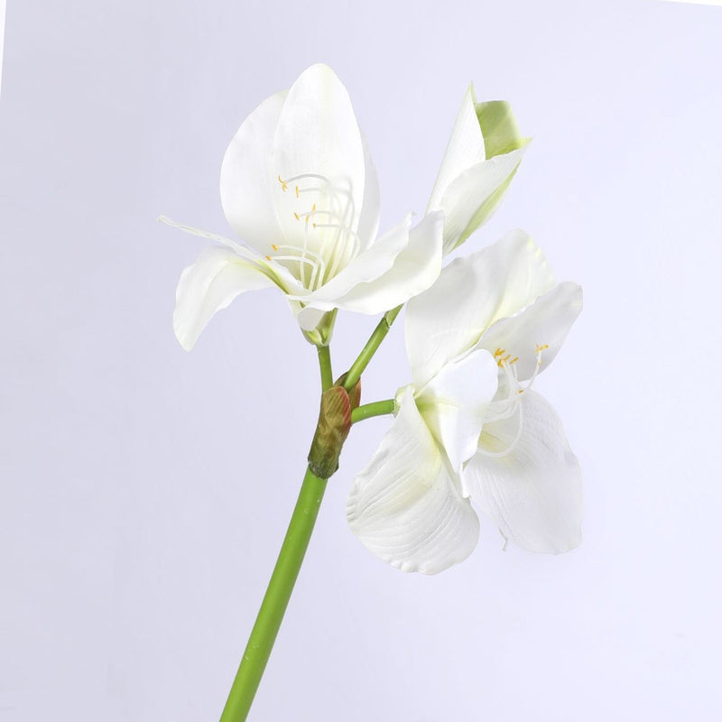 22 Inch Clivia Miniata Natal Lily Silk Flower Stem Bulk Wholesale