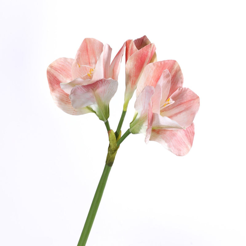 22 Inch Clivia Miniata Natal Lily Silk Flower Stem Bulk Wholesale