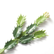 Artificial Crab Cactus Schlumbergera Bush Hanging Decoration 21 Inch Thanksgiving Cactus