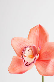 10 Inch Cymbidium Artificial Flowers 10 Pcs Real Touch Stems Bulk Wholesale