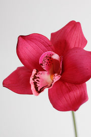 10 Inch Cymbidium Artificial Flowers 10 Pcs Real Touch Stems Bulk Wholesale
