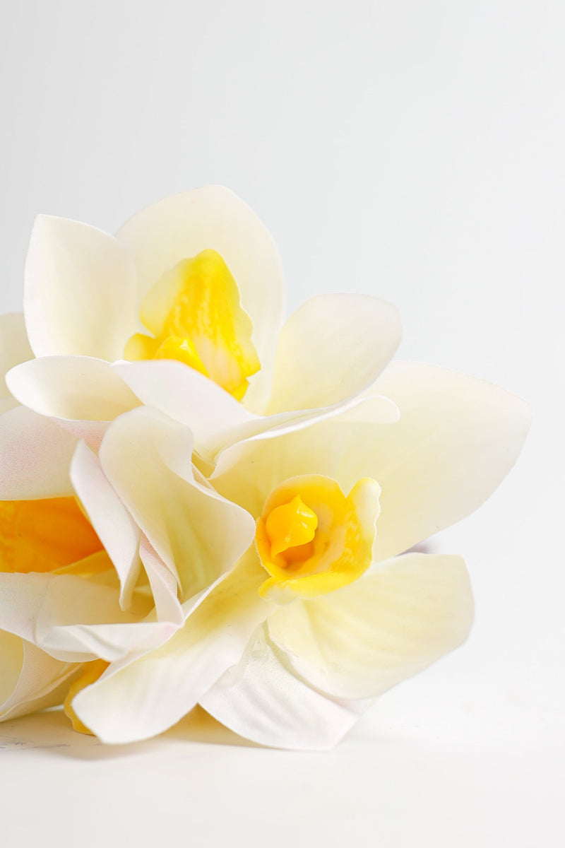 Real Touch Cymbidium Orchid Stem, Artificial Silk Flower, 1 Stem, Green and White, 24 Inch