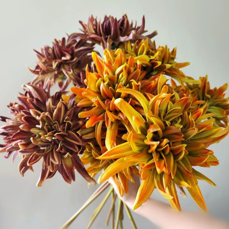 21.6 Inch Vintage Dahlia Stems, 6 Pcs Real Touch Silk Artificial Flowers, Winter Colors