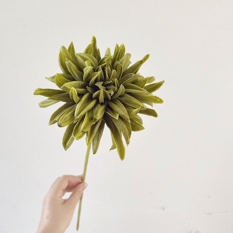 21.6 Inch Vintage Dahlia Stems, 6 Pcs Real Touch Silk Artificial Flowers, Winter Colors