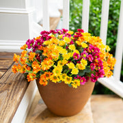 Artificial Daisy Flower Bush Bouquet 10 Pcs UV Resistant Fall Decor for Indoor Garden Window
