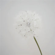 29 Inch White Artificial Dandelion Flower Stem – 10 Pcs Bulk Silk Stems