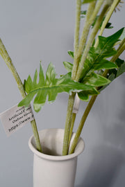 23 Inch Artificial Faux Kiku Dandelion Flowers Bulk Pack