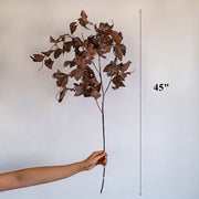10 Pcs Artificial Fall Cimicifuga Branches with Withered Leaves Autumn Leaf Sprays