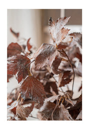 10 Pcs Artificial Fall Cimicifuga Branches with Withered Leaves Autumn Leaf Sprays