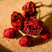 20 Inch Burnt Rose Silk Flowers Artificial Stems 10 Pcs Fall Arrangement Decoration
