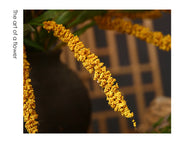 39 Inch Extra Long Artificial Millet Stems 10 Pcs Bulk Harvest Festival Decoration