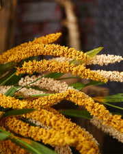 39 Inch Extra Long Artificial Millet Stems 10 Pcs Bulk Harvest Festival Decoration