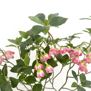 25.5 Inch Artificial Enkianthus Bell Flower Branch 1 Pc Silk Floral Arrangement Stem