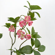 25.5 Inch Artificial Enkianthus Bell Flower Branch 1 Pc Silk Floral Arrangement Stem