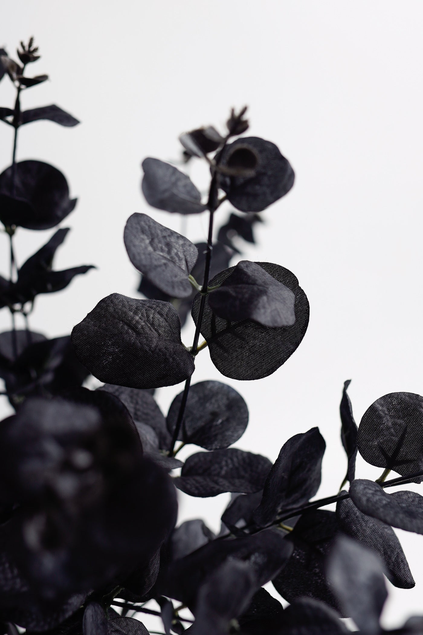 18 Inch Black Eucalyptus Bush 6 Stems Silk Artificial Halloween Centerpiece Bulk