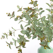 25 Inch Artificial Eucalyptus Stems with Fruits, Real Touch, 10 Pcs Bulk Pack