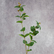 25 Inch Artificial Eucalyptus Stems with Fruits, Real Touch, 10 Pcs Bulk Pack
