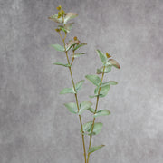 25 Inch Artificial Eucalyptus Stems with Fruits, Real Touch, 10 Pcs Bulk Pack