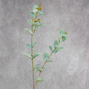 25 Inch Artificial Eucalyptus Stems with Fruits, Real Touch, 10 Pcs Bulk Pack