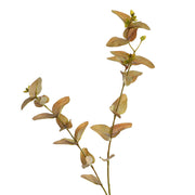 25 Inch Artificial Eucalyptus Stems with Fruits, Real Touch, 10 Pcs Bulk Pack