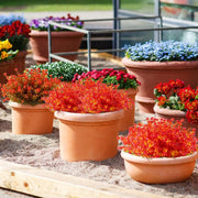 8 Bundles Artificial Fall Flowers Autumn Plants UV Resistant Silk Foliage Bulk