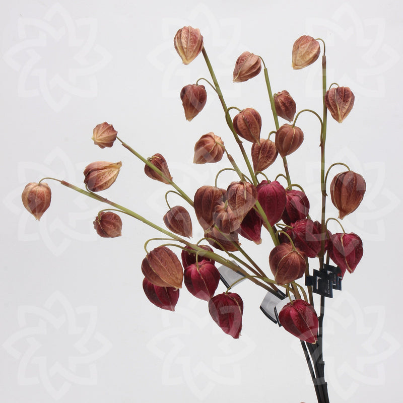 27 Inch Artificial Cape Gooseberry Stems 6 Pcs Real Touch Peru Groundcherry Fall Decor