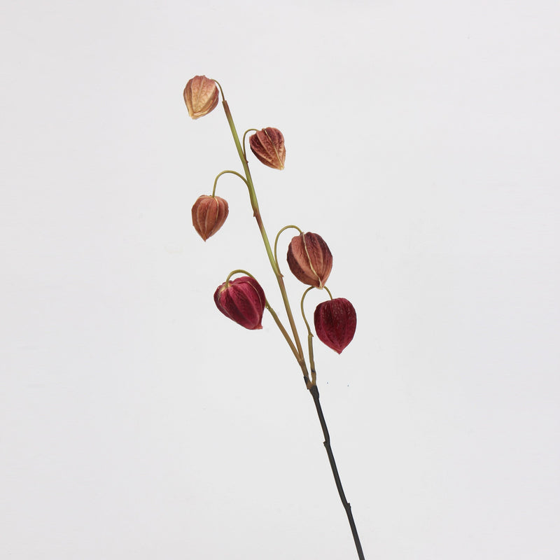 27 Inch Artificial Cape Gooseberry Stems 6 Pcs Real Touch Peru Groundcherry Fall Decor