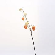27 Inch Artificial Cape Gooseberry Stems 6 Pcs Real Touch Peru Groundcherry Fall Decor