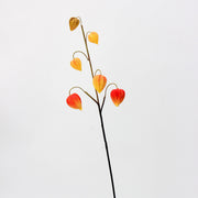 27 Inch Artificial Cape Gooseberry Stems 6 Pcs Real Touch Peru Groundcherry Fall Decor