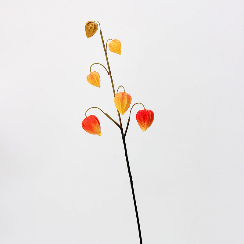 27 Inch Artificial Cape Gooseberry Stems 6 Pcs Real Touch Peru Groundcherry Fall Decor