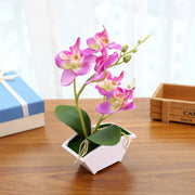 Artificial Orchid Flower Bonsai in Pot, Bulk Quantity, Silk Material, Decorative Indoor Plant