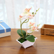 Artificial Orchid Flower Bonsai in Pot, Bulk Quantity, Silk Material, Decorative Indoor Plant
