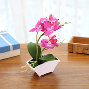 Artificial Orchid Flower Bonsai in Pot, Bulk Quantity, Silk Material, Decorative Indoor Plant