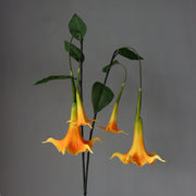 2 Pcs 32 Inch Artificial Datura Long Stem Flowers Real Touch Silk