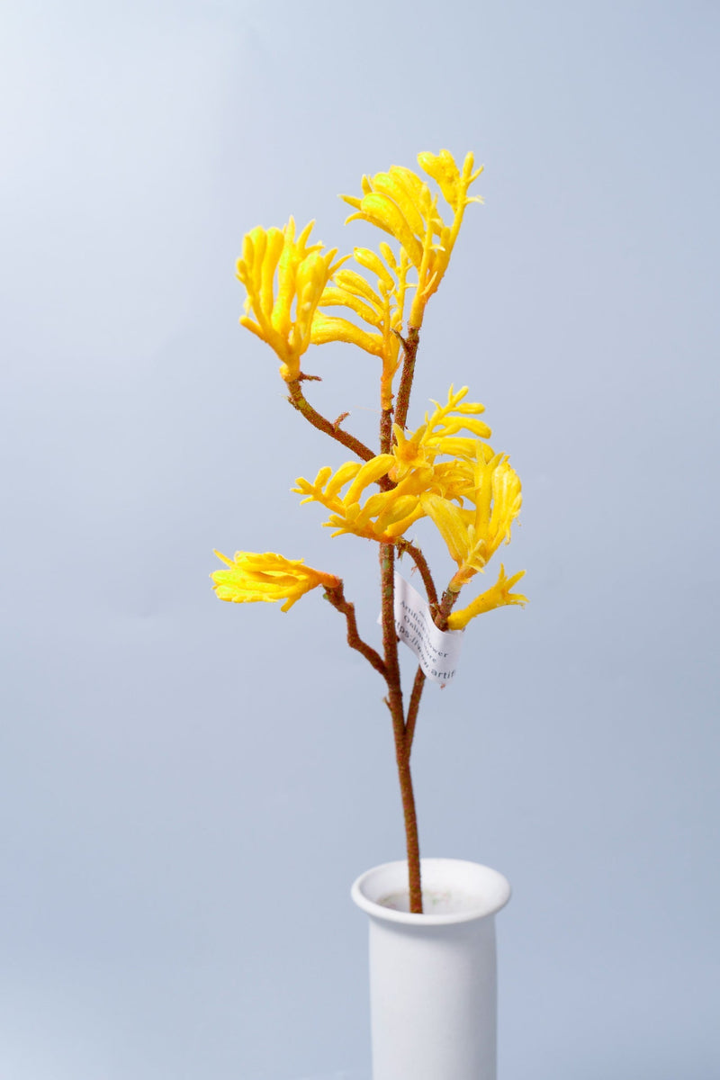 Artificial Kangaroo Paw Flowers 23 Inch 10 Pcs Bulk Silk Stems