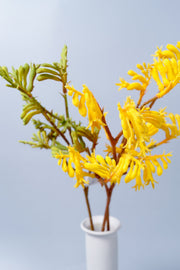 Artificial Kangaroo Paw Flowers 23 Inch 10 Pcs Bulk Silk Stems