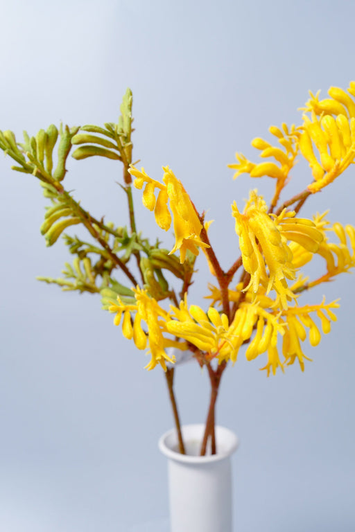 Artificial Kangaroo Paw Flowers 23 Inch 10 Pcs Bulk Silk Stems