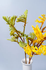 Artificial Kangaroo Paw Flowers 23 Inch 10 Pcs Bulk Silk Stems