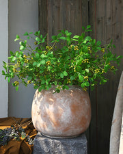 Artificial Greenery Plants with Fruit Stems Branches, Bulk Pack, Realistic Silk Foliage