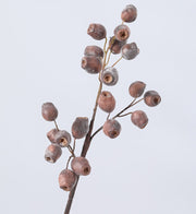 Artificial Gum Nut Pods and Olea Europaea Eucalyptus Fruit 22 Inch Bulk Wholesale