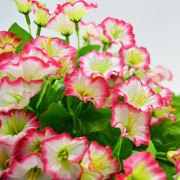 Artificial Morning Glory Flowers Hanging Basket Set, Bulk Wholesale, Assembled, Silk, Multi-Color