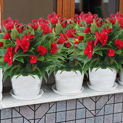 10 Pcs Artificial Impatiens Bushes UV Resistant Outdoor Silk Flowers