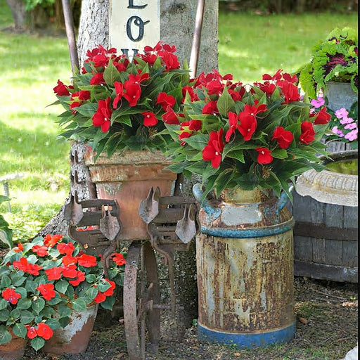 10 Pcs Artificial Impatiens Bushes UV Resistant Outdoor Silk Flowers